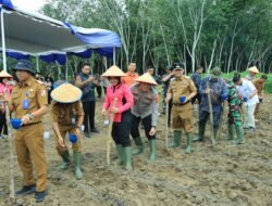 Dukung Ketahanan Pangan Nasional, Polres Tulang Bawang Barat Bekerjasama Pemda Tubaba Tanam Jagung di Lahan 276 Hektare