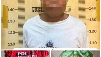 Kurang dari 1 X 24 Jam, Sat Reskrim Polres Tulang Bawang Barat bersama Polsek Tumijajar amankan Kakek Tiri Setubuhi Cucu di Bawah Umur