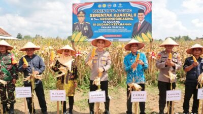Panen Raya Jagung Serentak Kuartal Ii Dilaksanakan Meriah, Perkuat Ketahanan Pangan Nasional