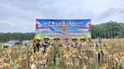 Panen Raya Jagung Serentak Kuartal II di Tumijajar, Polres Tulang Bawang Barat Dukung Ketahanan Pangan Nasional