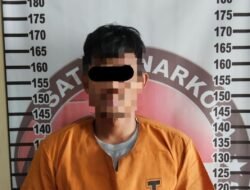 Berbekal informasi sangat Akurat,Satresnarkoba Polres tulang bawang tangkap pengedar narkotika diportal indo lampung