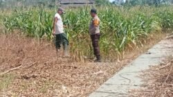 Bhabinkamtibmas Polsek Menggala Gerak Cepat Dorong Ketahanan Pangan Nasional, Ajak Warga Olah Seluruh Lahan Agar Produktif