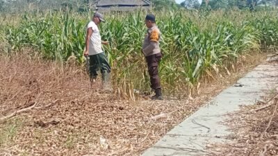 Bhabinkamtibmas Polsek Menggala Gerak Cepat Dorong Ketahanan Pangan Nasional, Ajak Warga Olah Seluruh Lahan Agar Produktif