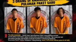 Satresnarkoba Polres Tulang Bawang Gerebek Kontrakan Dini Hari, 3 Orang Di Amankan Bersama Puluhan Paket Sabu